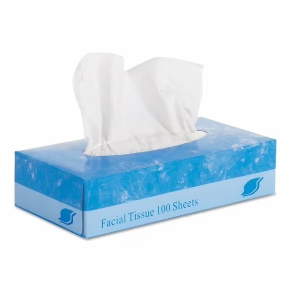 2 Ply Tissues, 100/Box Sheets, Gen, Mfr#: GEN6501